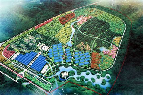 花卉苗圃_珠海市云天园林绿化工程有限公司