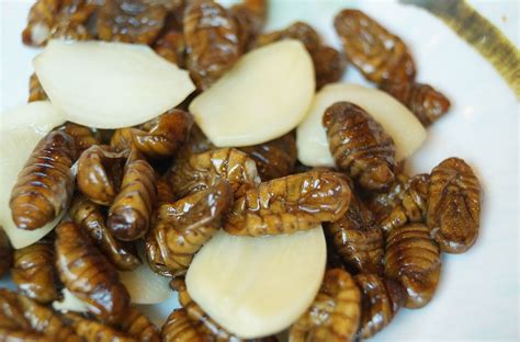 蚕蛹的功效与作用，蚕蛹怎么做好吃