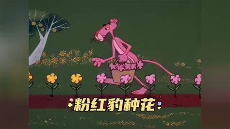 粉红豹(顽皮豹)种花，他的世界只有粉色#脑洞大开的动漫 #动画解说 #怀旧动画 #童年经典动画片 #粉红豹