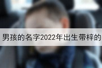 2023年兔年刘姓男宝宝起什么名字好 知识渊博的男生名字起名技巧 - 知乎