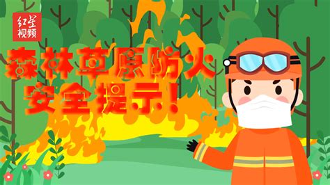 森林防火动画短片|动漫|其他动漫|哈尔滨丙戌文化 - 原创作品 - 站酷 (ZCOOL)