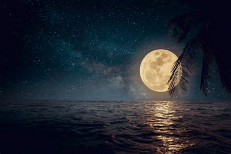 关于月的诗句 与月有关的优美诗句有哪些_万年历