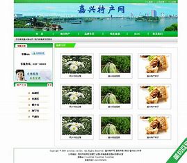 济南模板网站优化 的图像结果