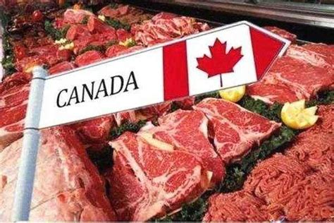 中方将暂停所有加拿大肉类对华出口 使馆回应 - 知乎