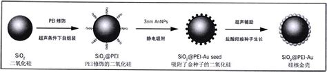 一种高性能金壳磁性微球的制备方法及其SERS应用与流程