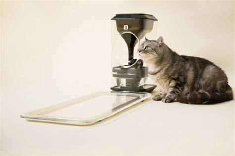 xcho猫咪饮水机宠物喂水器自动循环喝水碗流动水盆猫猫用活水猫水_虎窝淘