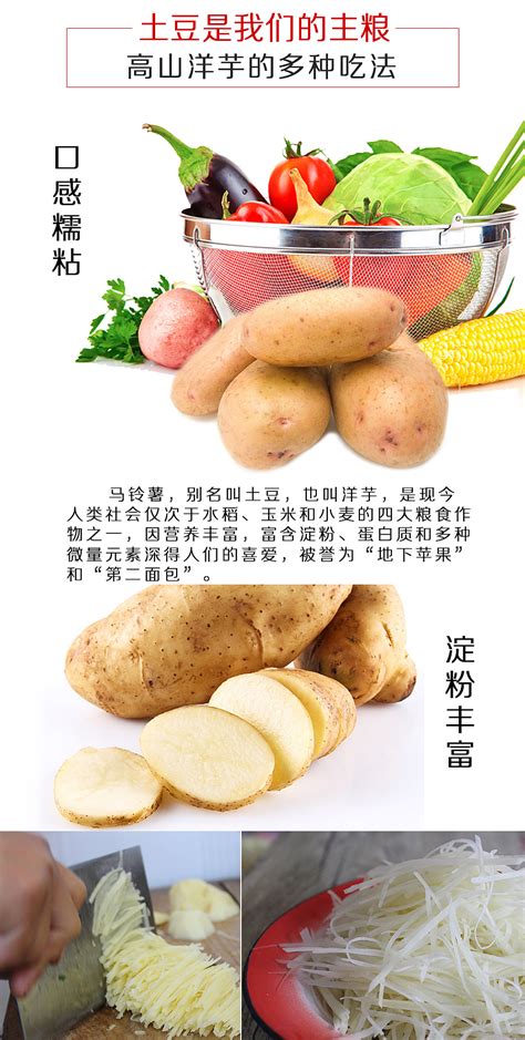 土豆果蔬海报图片_餐饮美食设计图片_16张设计图片_红动中国