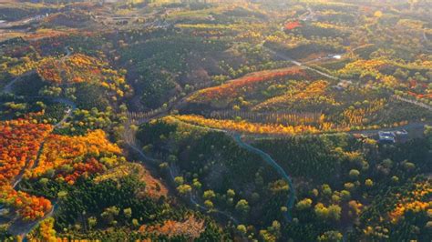 房山区全力实施新一轮百万亩造林 绘就京西南绿水青山新画卷