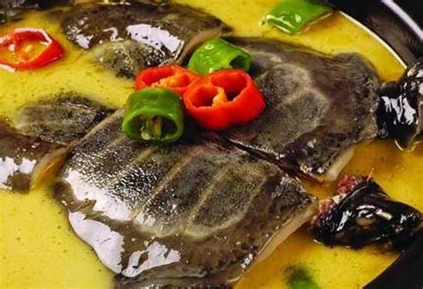 【甲鱼】【图】甲鱼怎么做好吃又营养 和菌菇搭配在一起美味加倍_伊秀美食|yxlady.com
