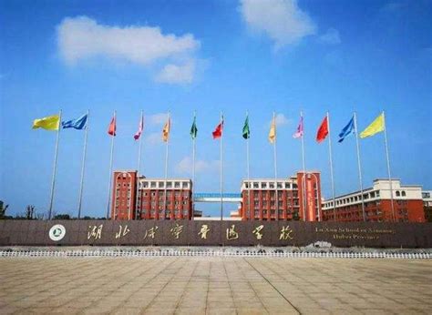 湖北南楚网络传媒有限公司，国家高新技术企业