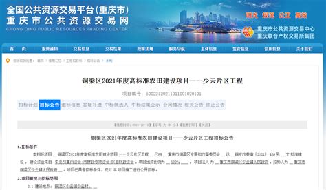 重庆市铜梁区委、区政府2022年新春贺词 - 封面新闻