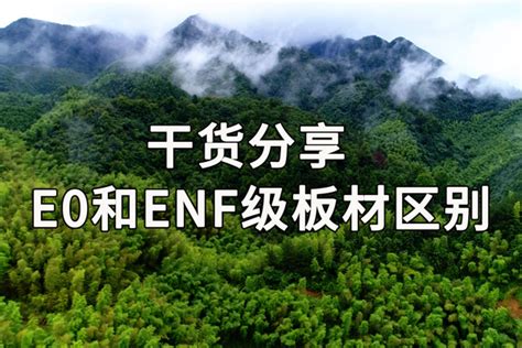 悦木森林·自然之音丨千年舟ENF级新生态地板，家居安全感的来源 - 新闻中心 - 九正建材网