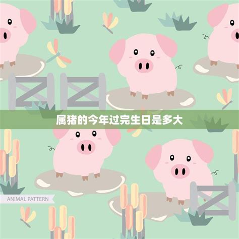 2019乙亥猪年12生肖运势解读大全__凤凰网