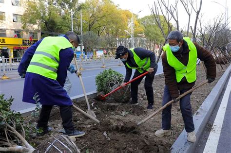 宜城：五条道路绿化升级 提升城市绿化品质_长江云 - 湖北网络广播电视台官方网站