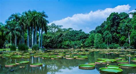 中国科学院西双版纳热带植物园景观生态研究组