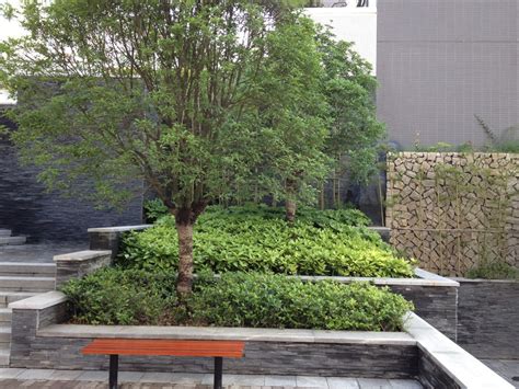 园林植物带给我们的生活益处 - 新闻资讯 - 上海别墅花园设计，花园设计施工，庭院设计，屋顶花园设计，工厂园林绿化、杭州别墅花园设计