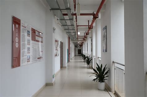 郑州校园长廊建设-学校长廊设计打造优秀廊文化_