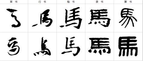 细说汉字“马”，马字的本义、马字演变及起源 - 细说汉字 - 辞洋