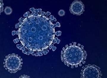 伊波拉病毒 - 快懂百科