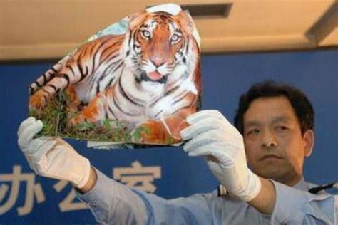 八达岭老虎伤人事故家属起诉动物园 索赔154万-北京时间