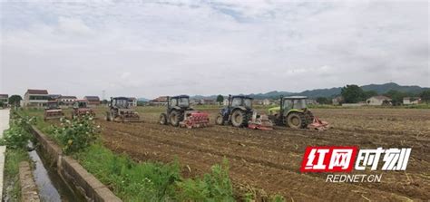 桃江免费供应200万元种子扶持早稻生产 - 益阳对外宣传官方网站