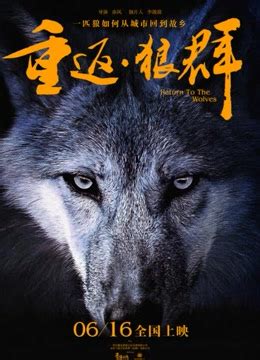 《重返狼群2:再见格林》：同名电影《重返·狼群》续篇故事，感动上百万读者的纪实小说《重返狼群》大结局。重返狼群后，格林命运如何？ - 影音视频 ...