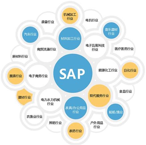 SAP是什么？SAP简介_腾讯视频