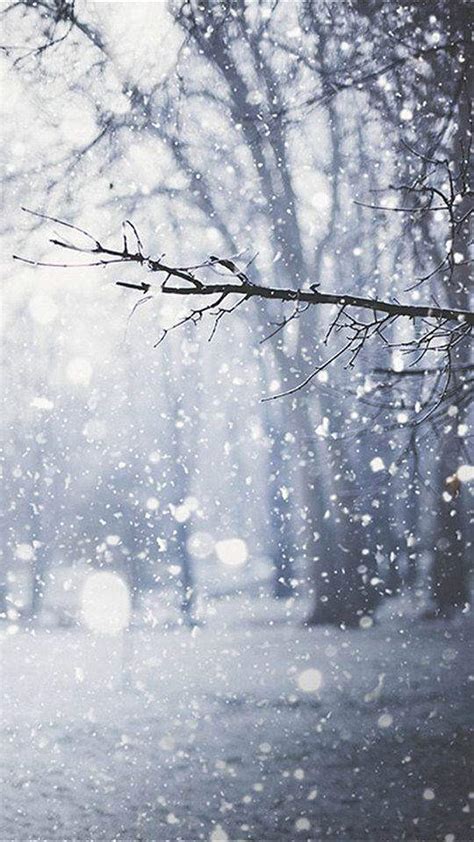 冬至浪漫雪景唯美手机壁纸图片_配图网