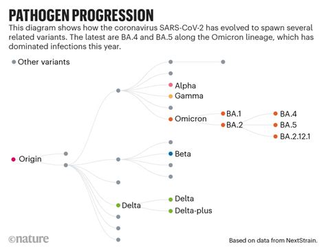 奥密克戎新冠病毒的多个亚型变异株在全球加速流行 - 复禾健康