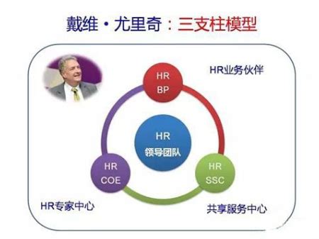 HR专题【HR三支柱模型，适合什么样的企业？】-博赛诺管理咨询(CPC)