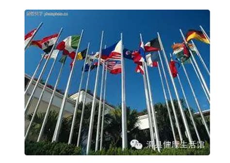 联合国宣布重磅决定：提升中国的国际地位，美英俄赞同，日本反对
