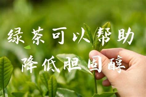 【绿茶】绿茶有哪些，绿茶的功效与作用，喝绿茶的好处和坏处_太平洋时尚网绿茶专区