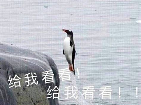 治愈你不开心的企鹅动画片《Pingu》_澎湃号·湃客_澎湃新闻-The Paper