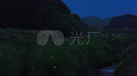 萤火虫,自然,垂直画幅,里山,地形,夜晚,无人,日本,光亮,夏天摄影素材,汇图网www.huitu.com