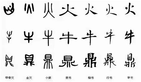汉字的演变过程 每一个汉字都承载着特定的文化信息，具有丰富的文化内涵。
