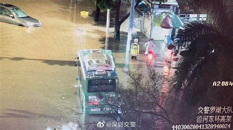 暴雨淹了沿河路东环高架桥下6辆车！交警提醒雨天行车要注意这一点_深圳新闻网