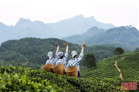留学生体验茶文化 - 中华人民共和国教育部政府门户网站