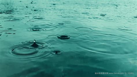 浪漫唯美的雨景摄影作品集锦 - 摄影作品 - 蓝色理想