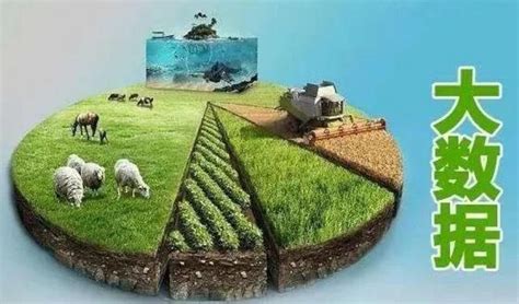 【原创】面向2035年的中国农业现代化战略__财经头条