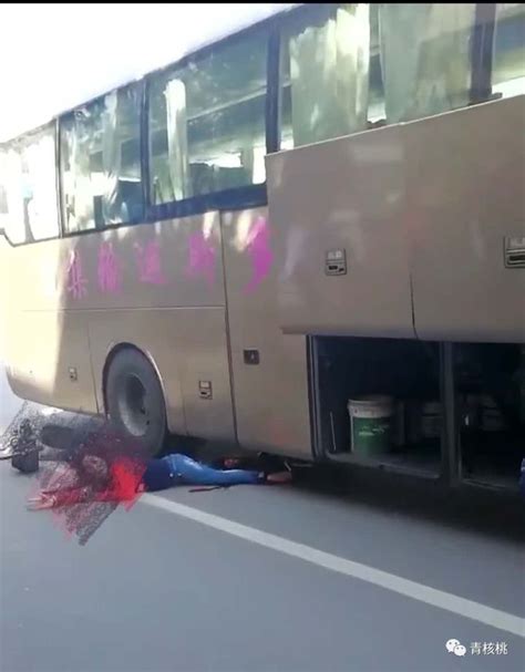 10月6日,广西一女子骑电动车带着3个孩子,不幸遭货车碾压一家四口全身亡,生前最后一刻曝光 - 社会热点 - 拽得网