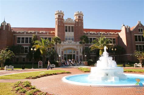 「佛罗里达大学」2023qs世界排名_申请条件 - 言顶留学
