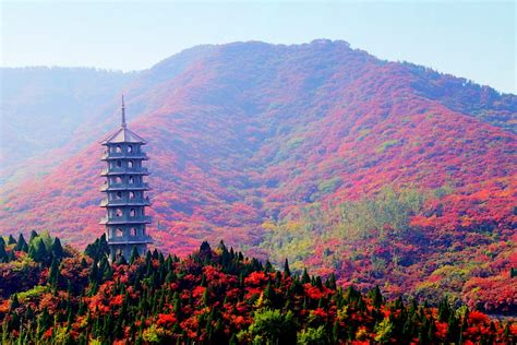 寻找绝美秋色——济南红叶谷的热情红_山东频道_凤凰网
