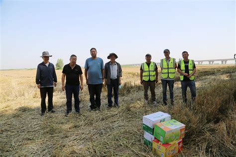 天津：2021年小麦收割开镰，“三夏”大幕正式拉开 | 农机新闻网,农机新闻,农机,农业机械,拖拉机
