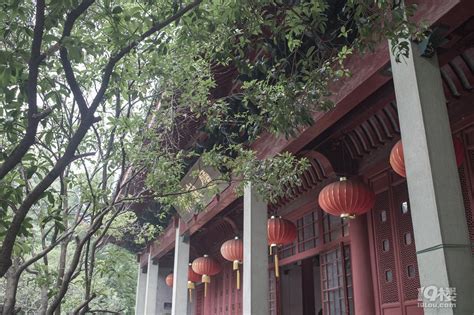 杭州市西湖区青少年宫2022年度风采（6） - 知乎