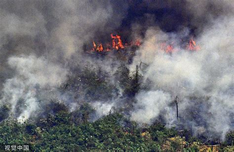 “地球之肺”连年遭破坏 亚马孙雨林8月发生近3万起火灾 - 头条轮播图 - 新湖南