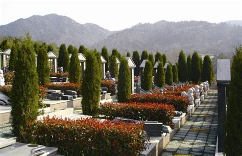 【清明时节】潍坊公益性公墓让“逝有所安”_山东频道_凤凰网