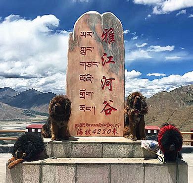 西藏山南地区贡嘎县-张雄艺术网