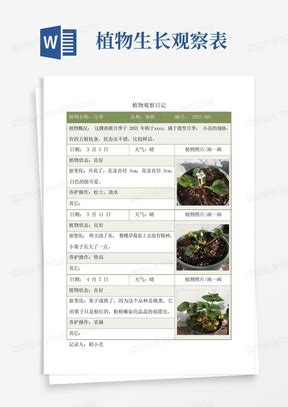 植物的生长变化观察记录表-Word模板下载_编号qvzpwkkw_熊猫办公