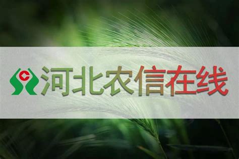 河北石家庄灵寿县市场监管局开展网络餐饮专项整治行动