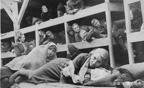 二战最大集中营旧事：进入纳粹集中营的犹太人都会经历什么？